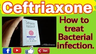 Monocef 1gm injectionCeftriaxone mechanism of actionEp1416112018use of monocef injection [upl. by Aihcrop]