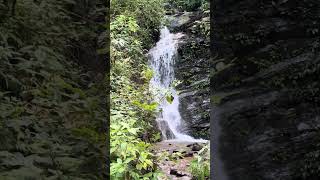 Beautiful Small Waterfall ⋄ Nepal is Beautiful ⋄ MajorToli shorts viral waterfall nature [upl. by Riana]