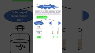 Submerged Fermentation amp SolidState Fermentation SmF amp SSF industrialmicrobiology fermentation [upl. by Clywd]