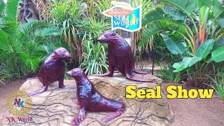 Seal Show🦭🦭At uShaka Marine World  Durban  South Africa  uShaka Marine World [upl. by Markson]