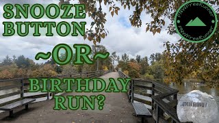 SHOULD I RUN FOR MY BIRTHDAY [upl. by Tacklind]