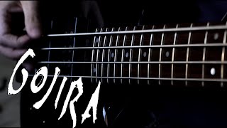 Gojira  Amazonia Bass Cover [upl. by Letta]