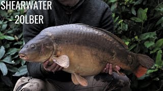 SHEARWATER  20LB  UK CARP FISHING [upl. by Valeda]