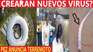 TREMENDO LO QUE ESTÁN CREANDO ¿UN PELIGRO PARA LA HUMANIDAD  PEZ REMO TERREMOTO M74  SISMOS HOY [upl. by Alicea507]