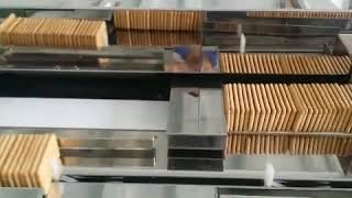 Automatic Biscuit Packing Line [upl. by Youngman]