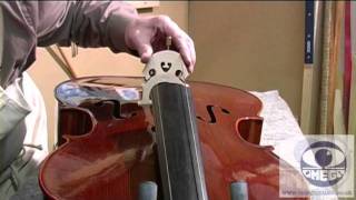 How to Set Up a Student Cello Correctly [upl. by Marti]