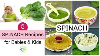 5 Spinach Palak Recipes for 6 months Babies  Stage 1 amp 2 Food [upl. by Idden595]