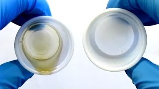 Superhydrophobic coatings with beeswax and carnauba wax [upl. by Nodal114]