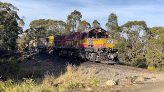 TasRail 2011 2054 TR17 54 train crossing Jollys Road [upl. by Malsi264]