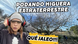 🤯Podar una HIGUERA SALVAJE es toda una AVENTURA Vlog58 [upl. by Tnomyar]