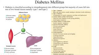 Pathology Made EasySystemic Pathology 3Pancreatic Diseases2 [upl. by Ready6]