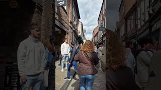 The Shambles York york theshambles yorkshambles shortswithcamilla york [upl. by Eedebez]