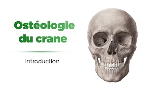 Ostéologie du crane  Introduction [upl. by Letizia]