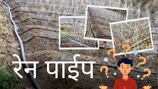 सर्वात स्वस्त तुषार सिंचन कसा काम करतो  हिरा रेन पाईप [upl. by Barthel]