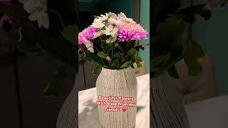 Beautiful flowers flowers flowerslovers shorts shortsvideo viralaudio viralshorts trending [upl. by Llenrap]