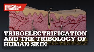 Contact Mechanics of Triboelectrification and the Tribology of Human Skin [upl. by Jehial]