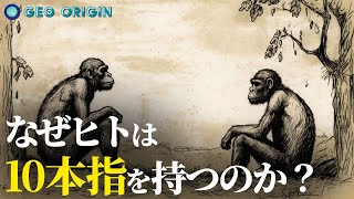 なぜ生物は10本指に進化したのか？ [upl. by Amorete]