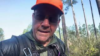 Florida Trail 202324 Part 11 Apalachicola National Forest [upl. by Sirtimed283]