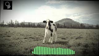 Dancing Polish Cow 9Doors remix [upl. by Oicam]