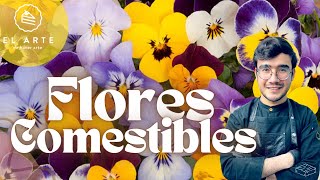 💐🌸Flores comestibles 🌸💐 [upl. by Trevor102]