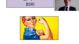 Gender Androgyny and the BSRI [upl. by Darrin]