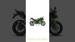 Kawasaki Ninja 300 Colours [upl. by Gena52]