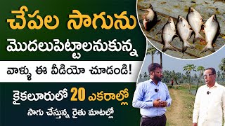 Fish Farming In Telugu  How To Start Fish Farming  Kaikaluru Fish Farming  Chepala Cheruvu [upl. by Anuahsed564]