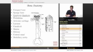 quotSkeletal Systemquot  Anatomy amp Physiology with Educatorcom [upl. by Darell]