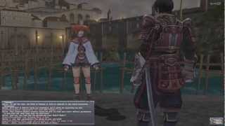 Final Fantasy XI  Geomancer Unlock Quest Dual Commentary [upl. by Gwennie]