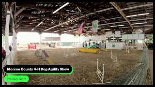 Monroe County 4H Dog Agility Show 2024 [upl. by Esidnac199]