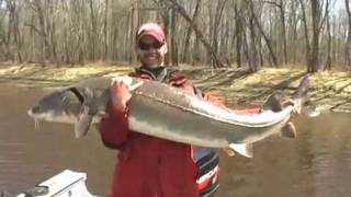 River Monsters Minnesota [upl. by Veneaux626]