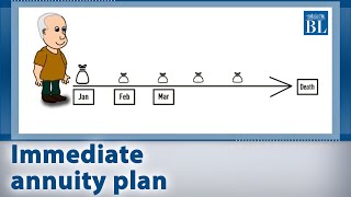 Saral Pension Plan Explained [upl. by Cheston159]