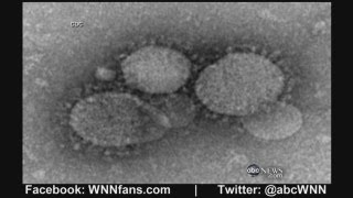 New SARSLike Virus With No Cure Kills at Least 27 [upl. by Ahsenit]