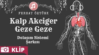 Dolaşım Sistemi Şarkısı  Kalp Akciğer Geze Geze [upl. by Frans]