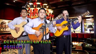 DEVUELVEME LA VIDA PASILLO GRUPO MUSICAL LOS MEDINA [upl. by Sherm]