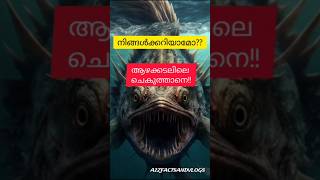 ആഴകടലിലെ അത്ഭുത മത്സ്യം  Danger Fish Facts Malayalam  Angler fish Facts Malayalam shorts facts [upl. by Eelana]