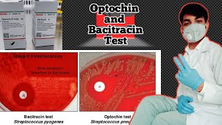 Optochin and Bacitracin test  Optochin susceptibility test  optochin sensitivity test procedure [upl. by Assile]