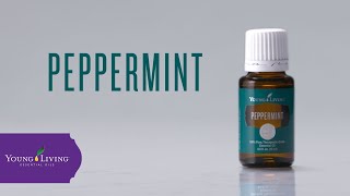 Peppermint Essential Oil Benefits amp Uses  Young Living Essential Oils [upl. by Nawed950]