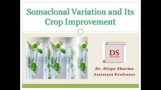 Somaclonal Variations and Its Crop Improvement [upl. by Leta]