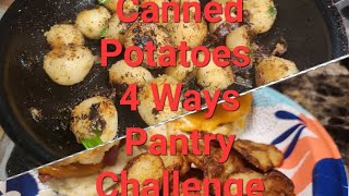 Pantry Challenge Canned Potatoes threeriverschallenge [upl. by Flem]