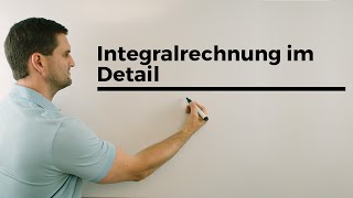 Integralrechnung im Detail Flächenberechnung Übersicht Integrale  Mathe by Daniel Jung [upl. by Arlee]