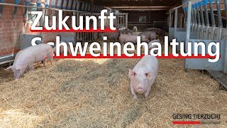 Zukunft Schweinehaltung Betrieb Ostendorf [upl. by Joette]