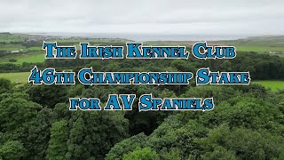 The IKC 46th Championship Stake for AV Spaniels DVD Preview [upl. by Helene900]