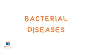 GCSE Biology  Infection amp Response  6 Bacterial Diseases [upl. by Ciprian]