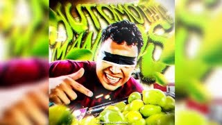 DJ BRZ 013  Automotivo Mangos 1 HOUR [upl. by Louth]