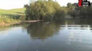 Flyfishing Insomniacs  GlommaRena River [upl. by Johnston494]