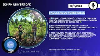 MICRO FCFUNaM Investigación Forestal en Acción 🌳🌎🔍 Medición y monitoreo en Pomera Maderas [upl. by Dwinnell]