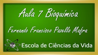 Bioquímica Aula 7  Enzimas  Mecanismos de funcionamento [upl. by Sanders309]