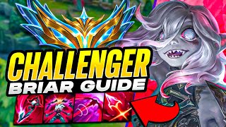 HOW TO PLAY BRIAR RANK 1 CHALLENGER GUIDE [upl. by Netsyrc]