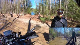 Can an R1200GS Keep up up with Dirt Bikes Offroad [upl. by Nit775]